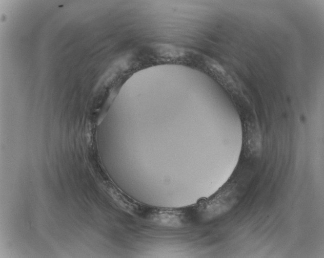 X0000081300758200701251718