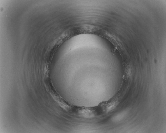 X0000081300759200701251718