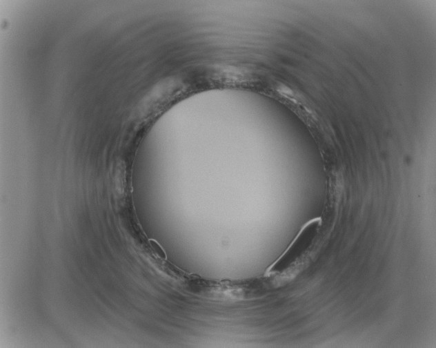 X0000081300760200701251718