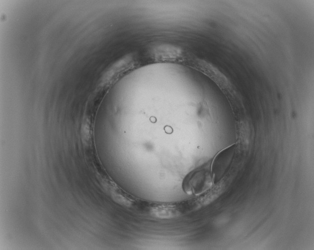 X0000081300761200701251718