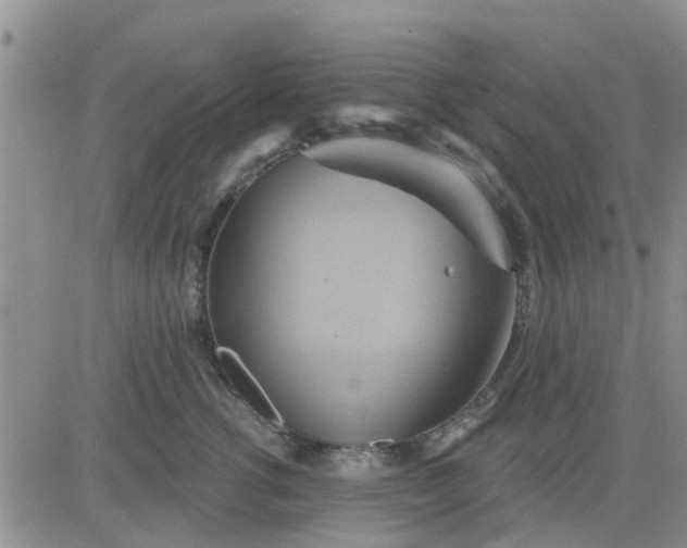 X0000081300762200701251718