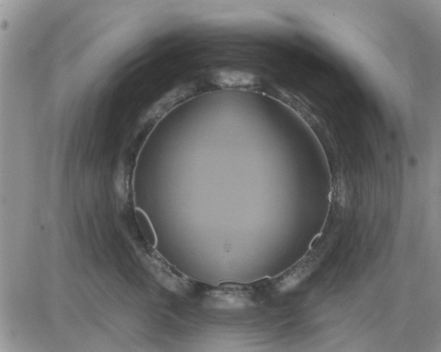 X0000081300763200701251718