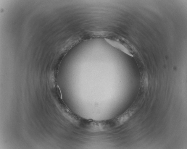 X0000081300764200701251718