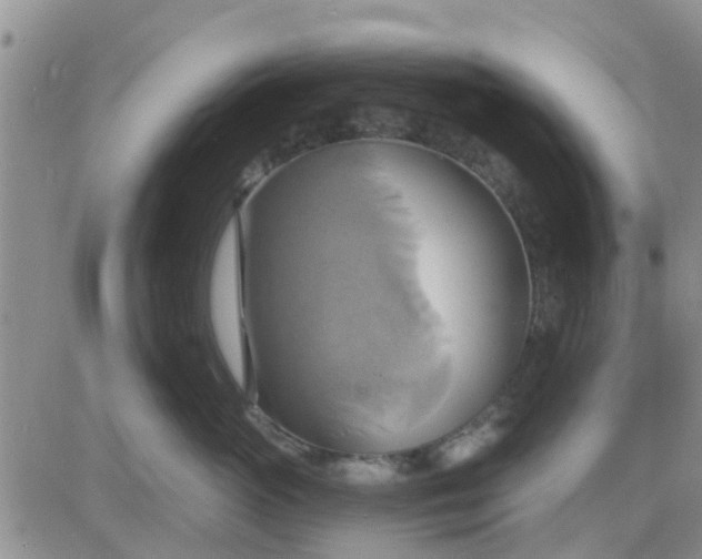 X0000081300765200701251718