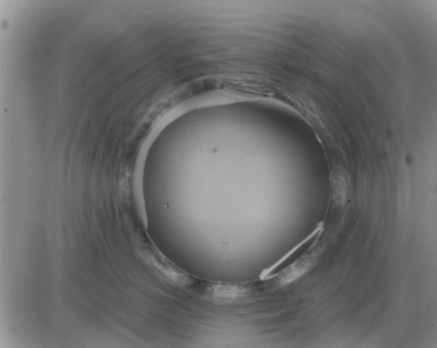 X0000081300766200701251718