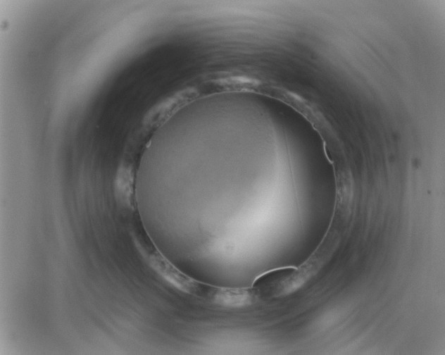 X0000081300767200701251718