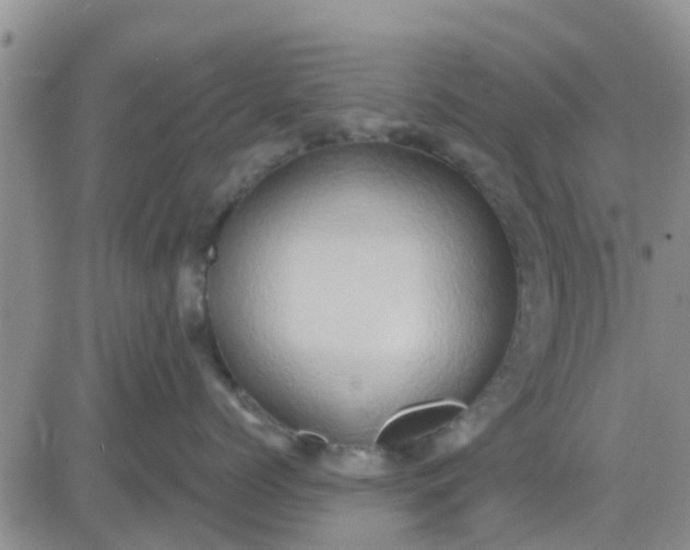 X0000081300768200701251718