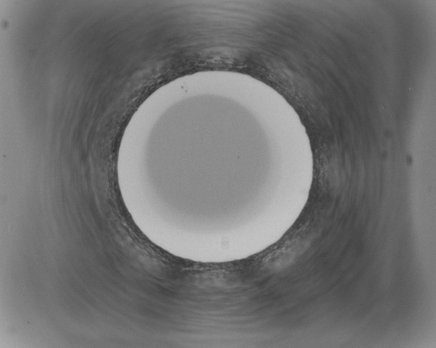 X0000081300769200701251717