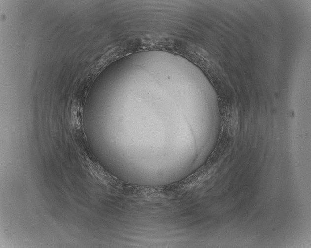 X0000081300770200701251717