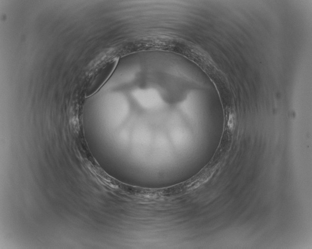 X0000081300771200701251717