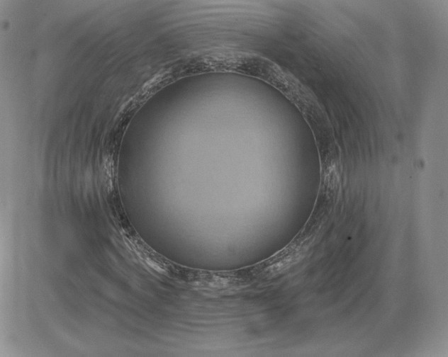 X0000081300772200701251717