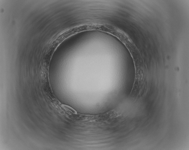 X0000081300773200701251717