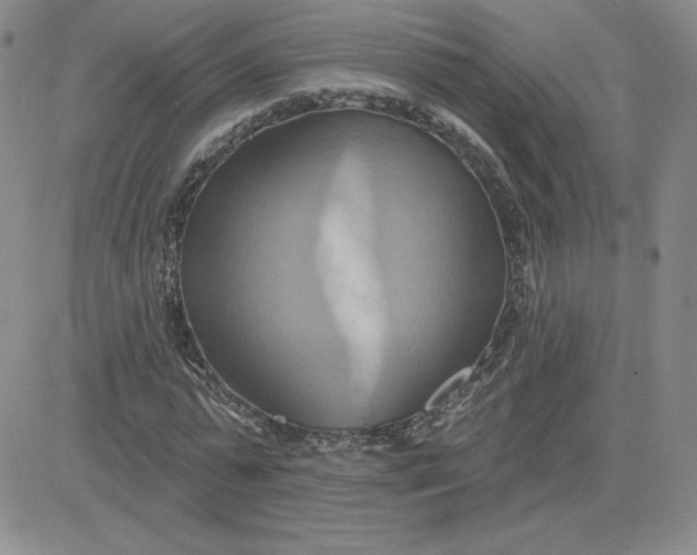 X0000081300775200701251717