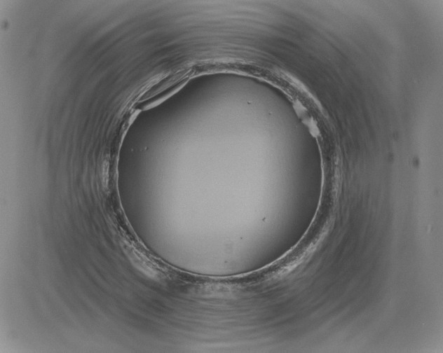 X0000081300777200701251717