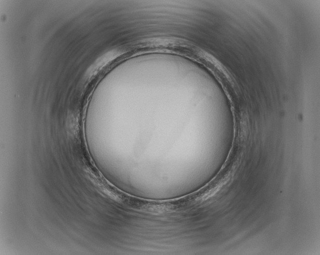 X0000081300778200701251717