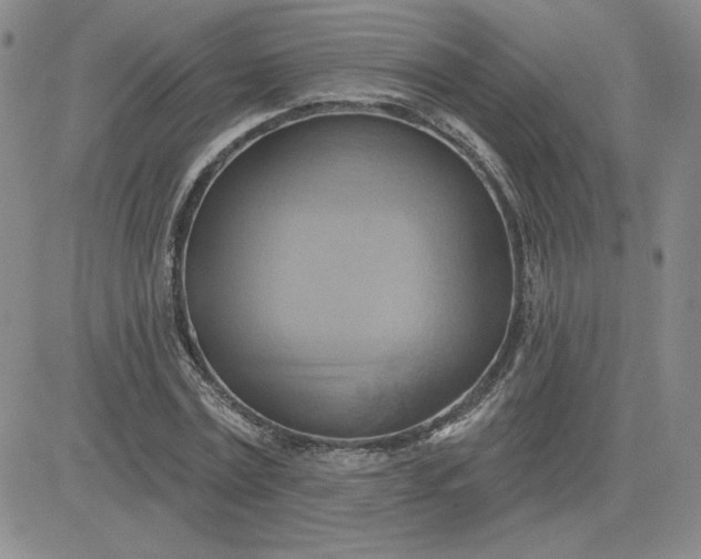 X0000081300779200701251717