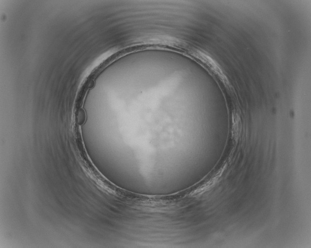 X0000081300780200701251717