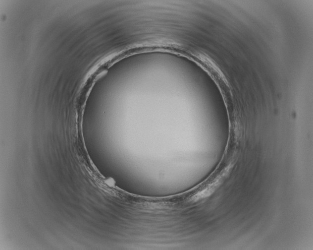 X0000081300781200701251717