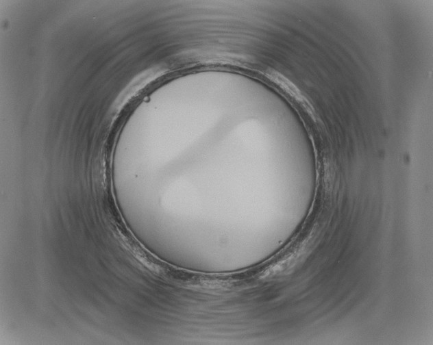 X0000081300782200701251717