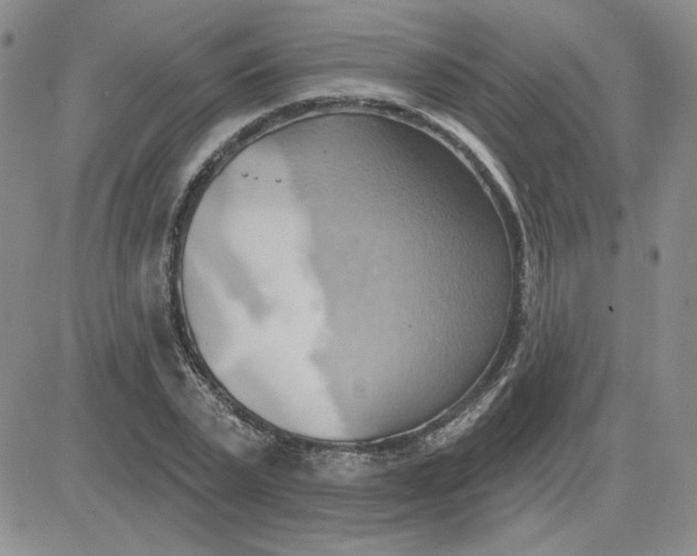 X0000081300783200701251717