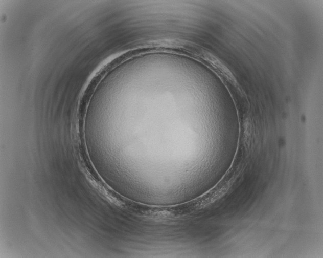 X0000081300784200701251717