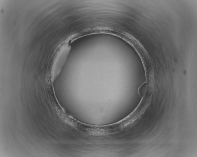 X0000081300785200701251717