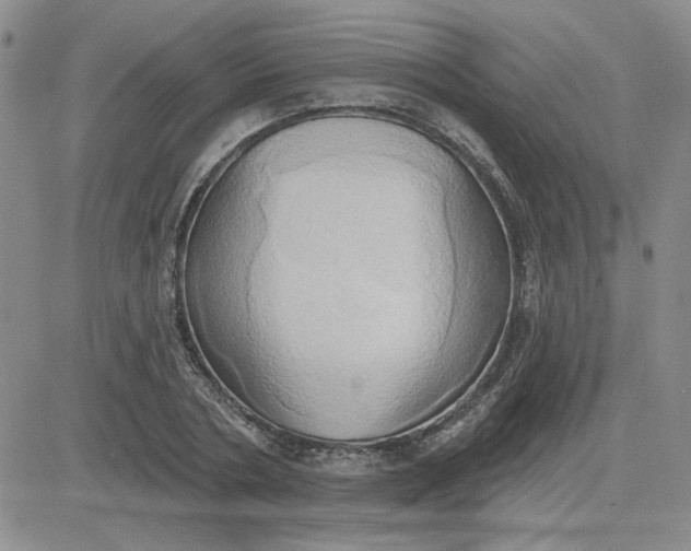 X0000081300786200701251717