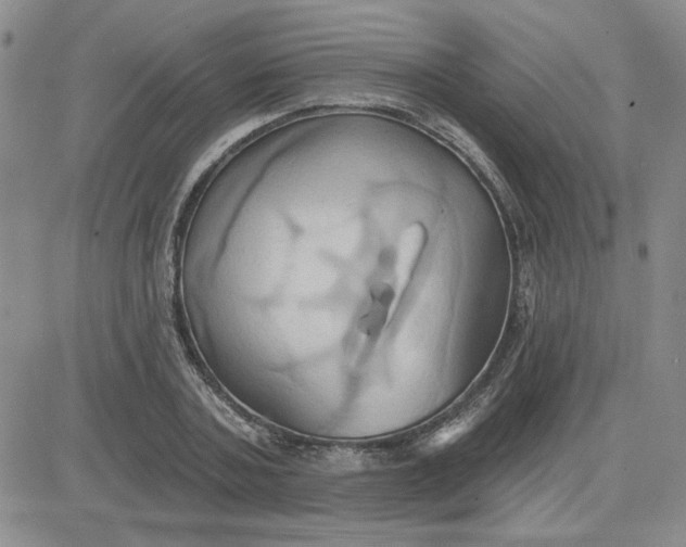 X0000081300787200701251717