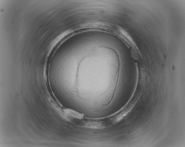 X0000081300788200701251717