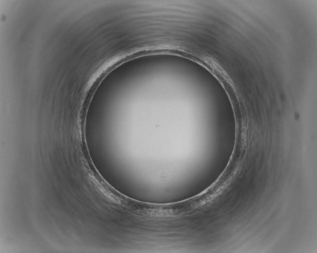 X0000081300789200701251717