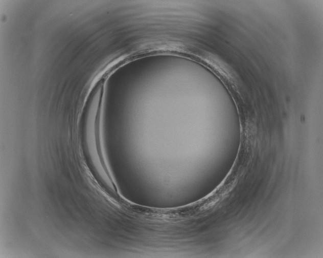 X0000081300790200701251717