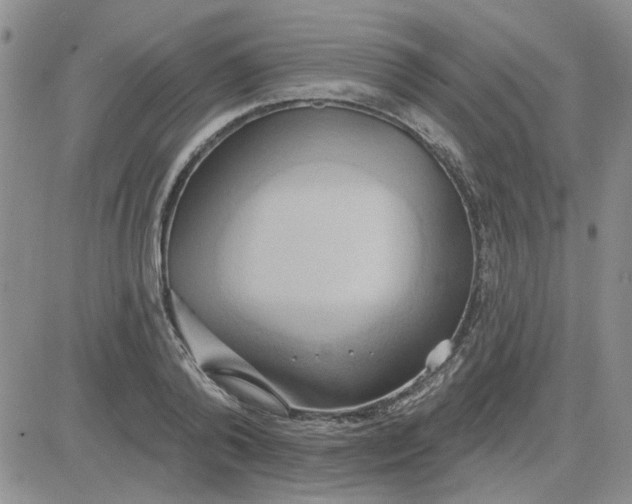 X0000081300792200701251717