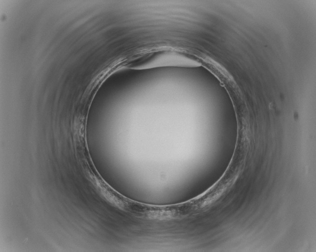 X0000081300793200701251717