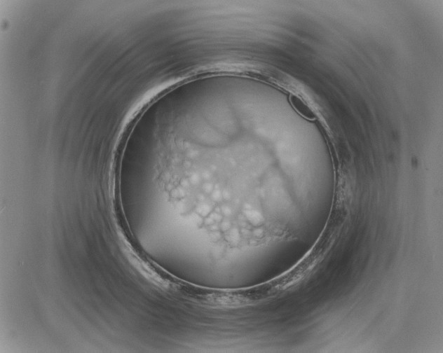 X0000081300795200701251717