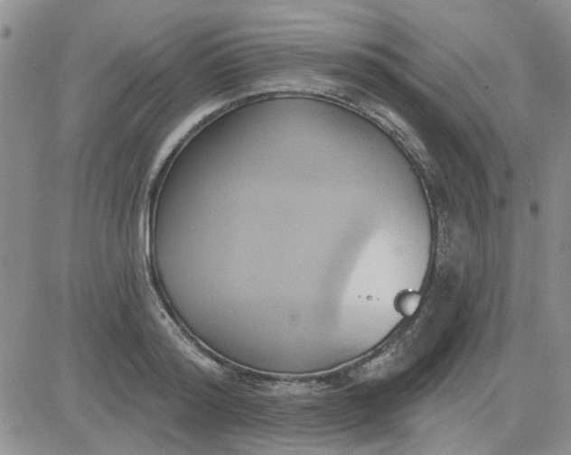 X0000081300796200701251717