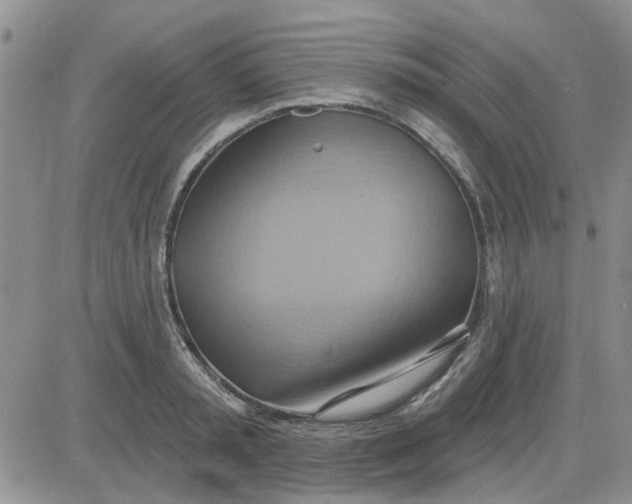 X0000081300797200701251717