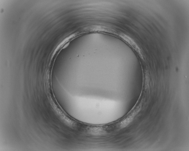 X0000081300798200701251717