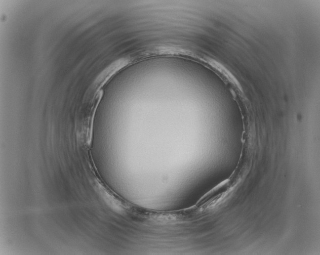 X0000081300801200701251716