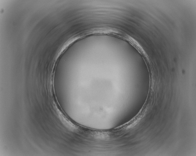 X0000081300802200701251716