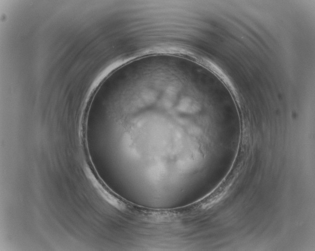 X0000081300803200701251716