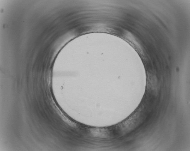 X0000081300804200701251716