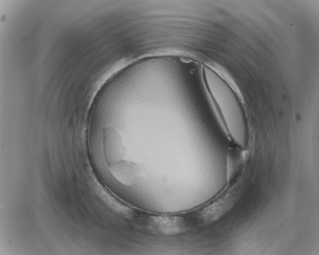 X0000081300805200701251716