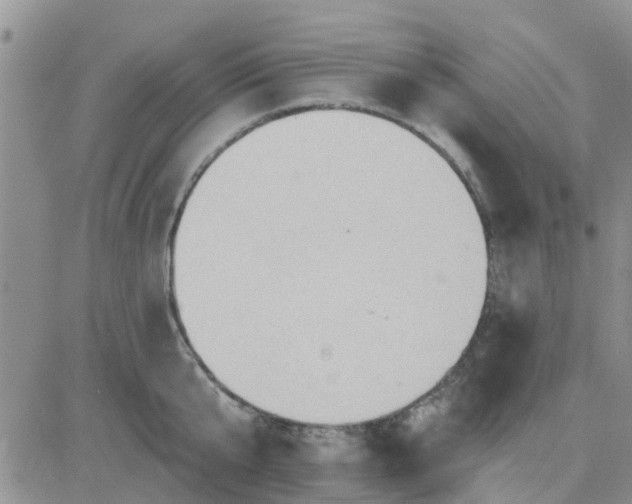 X0000081300807200701251716