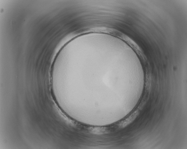 X0000081300808200701251716