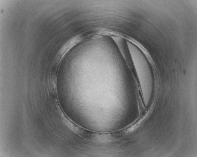 X0000081300809200701251716