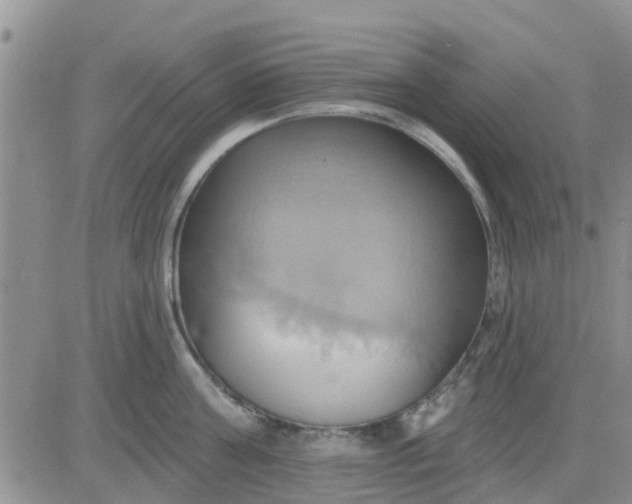 X0000081300811200701251716