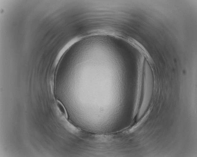 X0000081300812200701251716