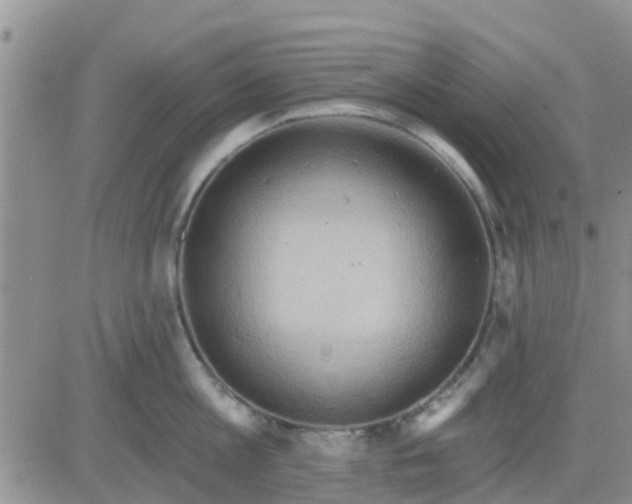 X0000081300813200701251716