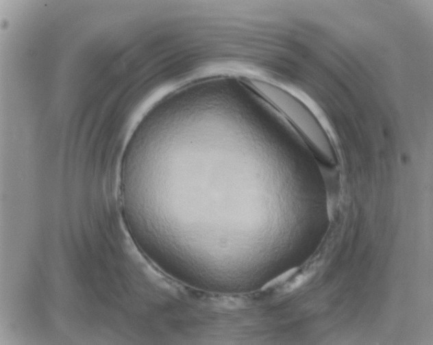 X0000081300815200701251716