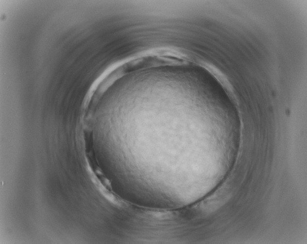 X0000081300816200701251716